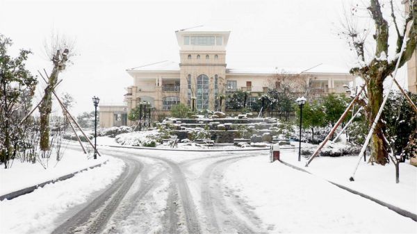 众志成城齐扫雪 不畏严寒热情高